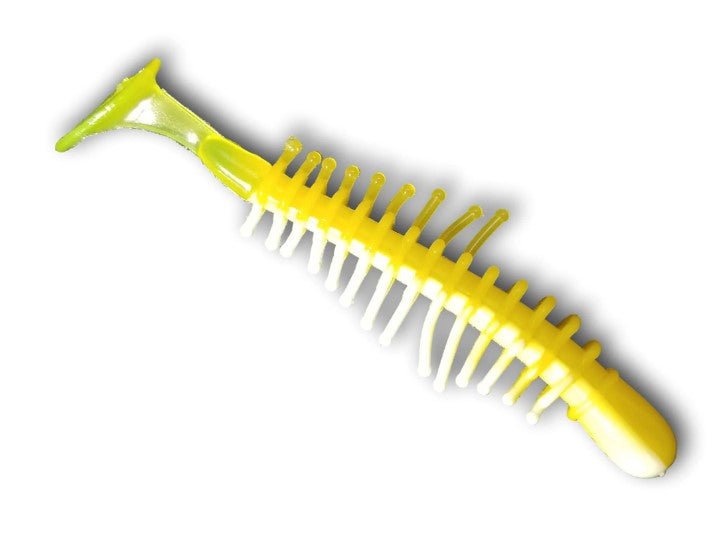 TICKLE SHAD