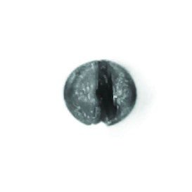 EAGLE CLAW ROUND SPLIT SHOT BB