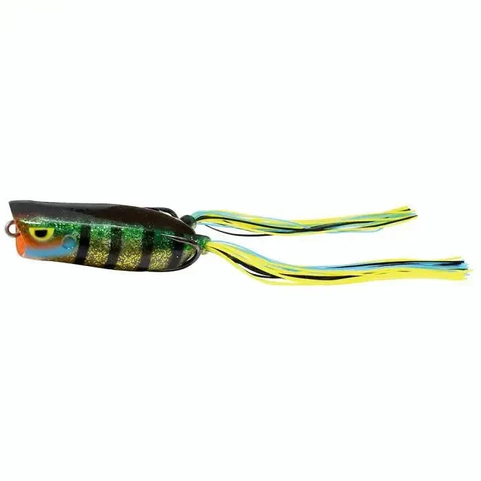 REED-RUNNER FROG
