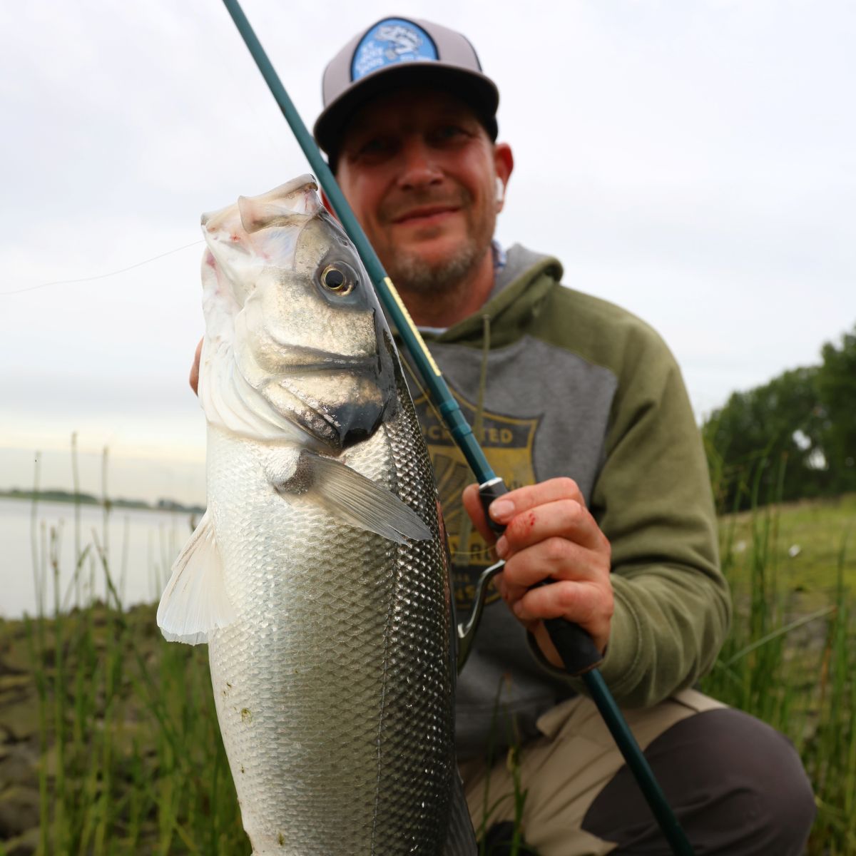 RAYFIN SPINNING