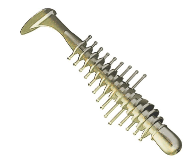 TICKLE SHAD