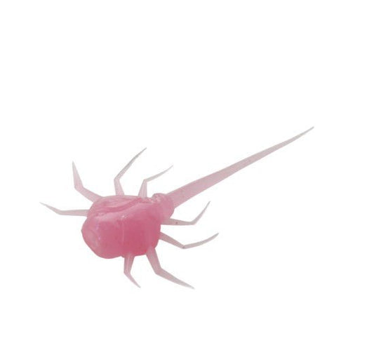 COCCONUT CRAB