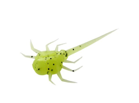 COCCONUT CRAB