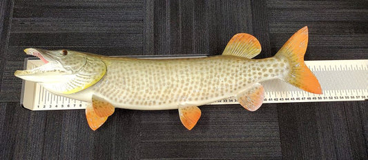 RECK-N-RACK MUSKY BUMP BOARD W/ ST. CROIX LOGO